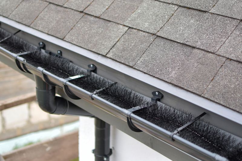 Protective Gutter Guards
